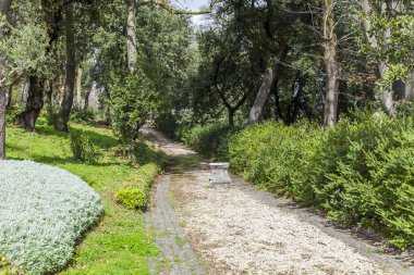 Roma, İtalya, 7 Mart 2017. pitoresk caddenin Vatikan bahçeleri