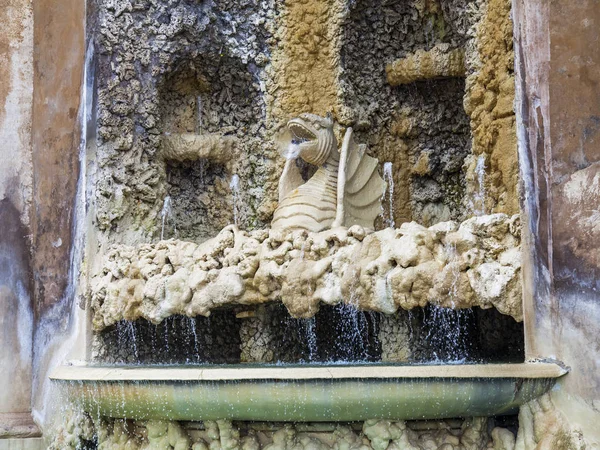 2017年3月7日 意大利罗马 梵蒂冈花园领土上的古老喷泉 — 图库照片