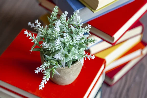 Houseplant Pile Vintage Books Multi Colored Covers — Stock Photo, Image