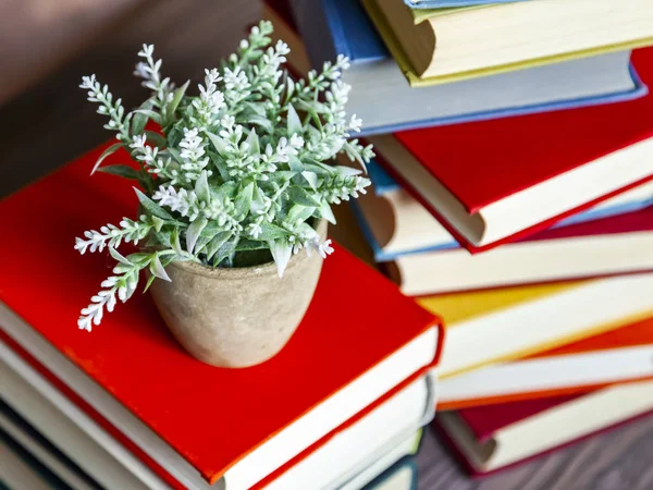 Houseplant Pile Vintage Books Multi Colored Covers — Stock Photo, Image