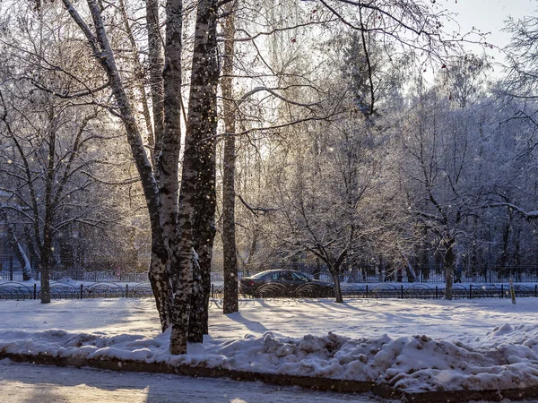 Bir Ağacın Içinde Belgili Tanımlık Kış Hoarfrost Ile Kaplıdır — Stok fotoğraf
