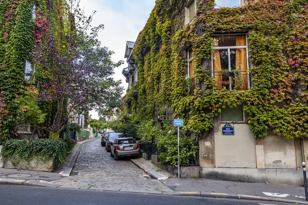 フランス 2018 街の風景 コテージ外観は郊外にからませて野生ブドウです — ストック写真