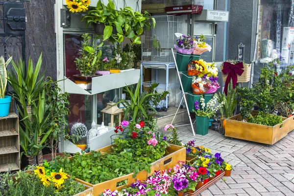 马耳他斯利马 2019年1月8日 在商店出售花卉和室内植物 人行道上的展示窗口 — 图库照片