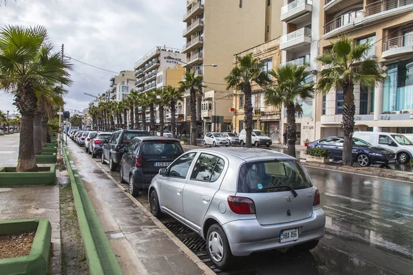 Gzira Malta Janeiro 2019 Belo Dique Com Palmeiras Depois Uma — Fotografia de Stock