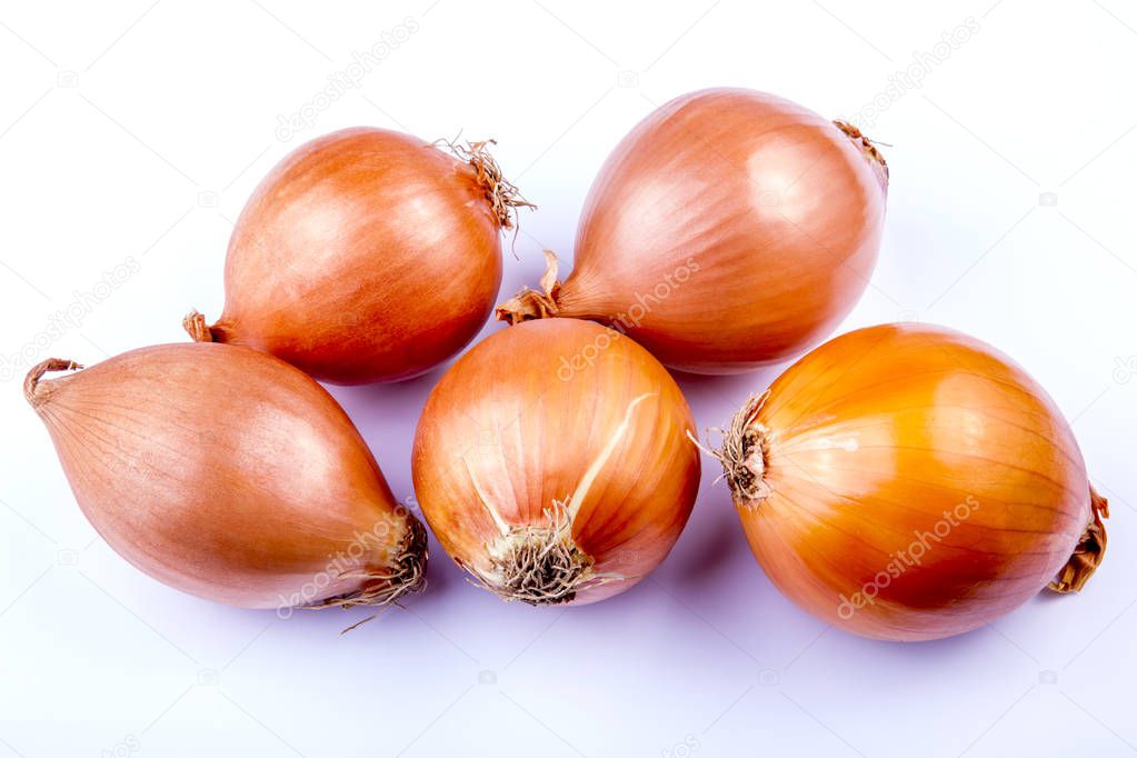 Fresh onions on a white background