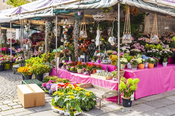 Munique Alemanha Agosto 2018 Várias Flores Balcões Mercado Domingo Cidade — Fotografia de Stock