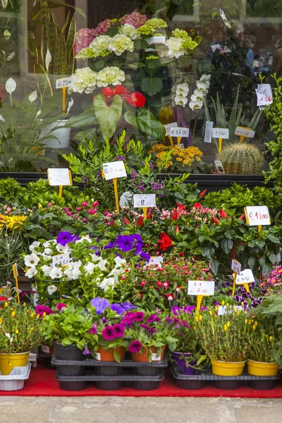 Veneza Itália Abril 2019 Mostra Janela Rua Loja Flor — Fotografia de Stock