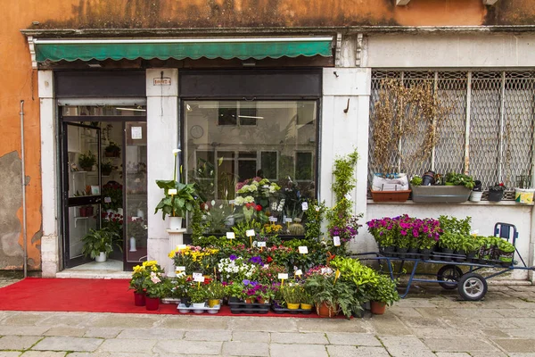 Venedig Italien April 2019 Street Show Window Flower Shop — Stockfoto