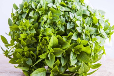 Bir masada taze fesleğen iştah açıcı demet