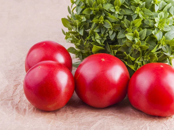 Frische Reife Tomaten Und Ein Appetitanregender Bund Frisches Basilikum Auf — Stockfoto