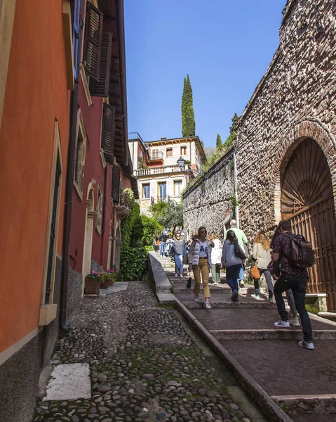 Verona Italien April 2019 Schön Eine Leiter Fuße Des Hügels — Stockfoto