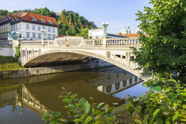Любляна Словенія Серпня 2019 Мальовничим Видом Міські Набережна Річки Любляниці — стокове фото