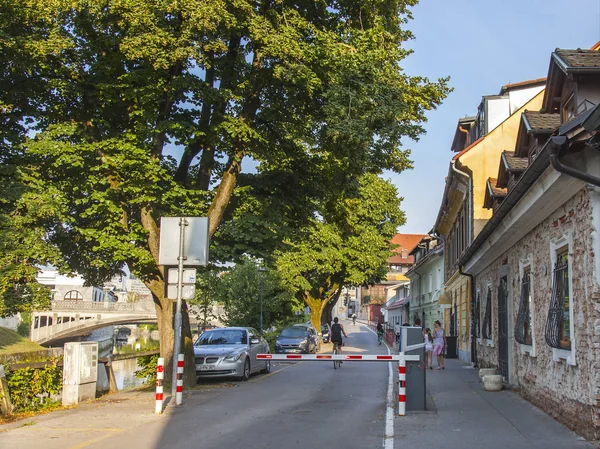 Ljubljana Slovenya Ağustos 2019 Tarihinde Doğal Kentsel Görünüm — Stok fotoğraf