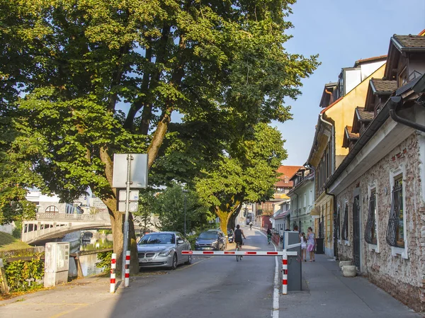 Ljubljana Słowenia Dniu Sierpnia 2019 Malowniczy Widok Miejski — Zdjęcie stockowe