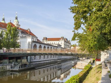 Ljubljana, Slovenya, 5 Ağustos 2019 tarihinde. Doğal şehir manzarası. Ljubljanica Nehir Dolgusu