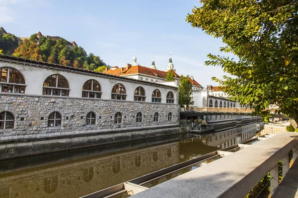 Ljubljana Słowenia Dniu Sierpnia 2019 Malowniczy Widok Miejski Ljubljanica Rzeka — Zdjęcie stockowe