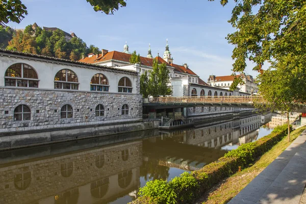Lublaň Slovinsko Srpna 2019 Malebný Výhled Město Říční Nábřeží Ljubljanica — Stock fotografie