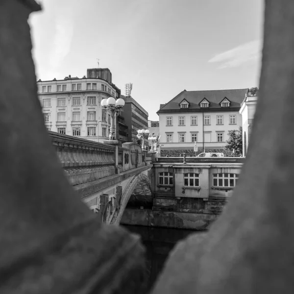 Ljubljana Slovenien Augusti 2019 Pittoresk Utsikt Över Staden River Embankment — Stockfoto