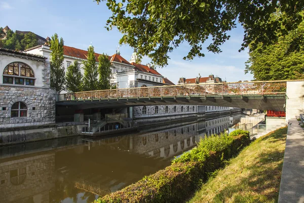 Ljubljana Słowenia Sierpnia 2019 Malowniczym Widokiem Miasto Nabrzeża Rzeki Ljubljanica — Zdjęcie stockowe