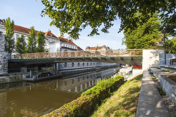 Ljubljana Slovenië Augustus 2019 Schilderachtig Uitzicht Stad Rivierdijk Ljubljanica Slagerbrug — Stockfoto