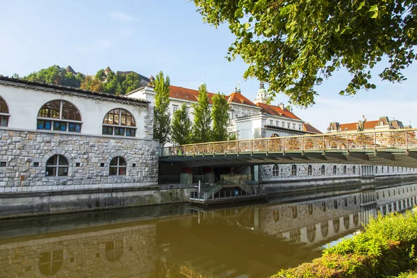 Ljubljana Slovenya Ağustos 2019 Pitoresk Şehir Manzarası Nehir Seti Ljubljanica — Stok fotoğraf