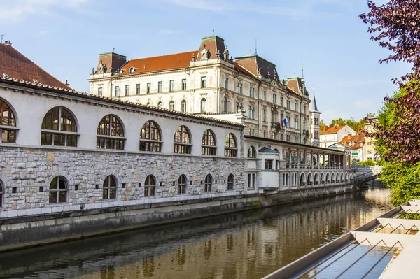 Lublaň Slovinsko Srpna 2019 Malebný Výhled Město Nábřeží Řeky Ljubljanica — Stock fotografie