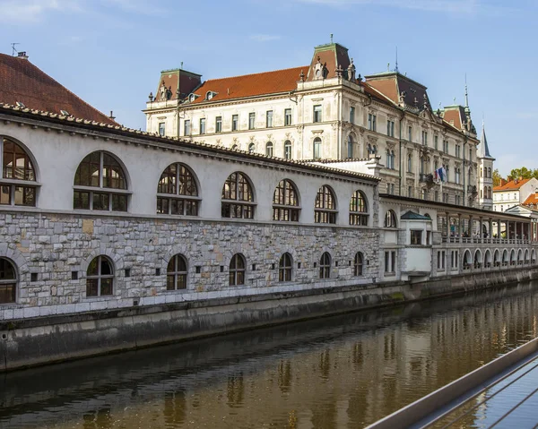 Ljubljana Slovenya Ağustos 2019 Pitoresk Şehir Manzarası Ljubljanica Nehri Nin — Stok fotoğraf