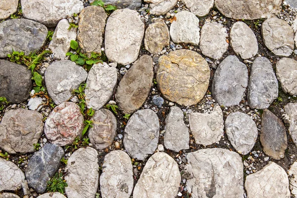 ヨーロッパの都市の古い石畳の道 — ストック写真