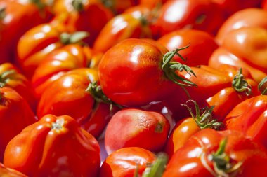  Bir Pazar sayaçta taze olgun domates