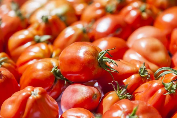 Tomates Frescos Maduros Mostrador Mercado — Foto de Stock