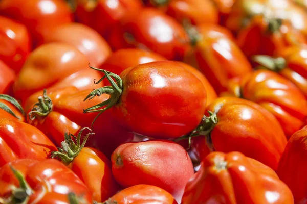 Fresh Ripe Tomatoes Market Counter — Stock Photo, Image