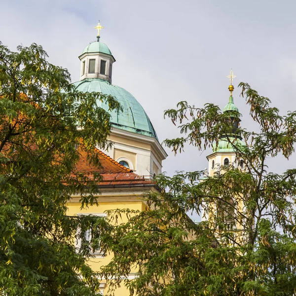 Lublaň Slovinsko Srpna 2019 Katedrála Svatého Mikuláše Jedna Hlavních Atrakcí — Stock fotografie