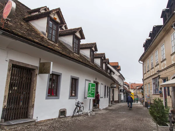 Ljubljana Slovenia August 2019 Vedere Pitorească Oraș Stradă Frumoasă Partea — Fotografie, imagine de stoc