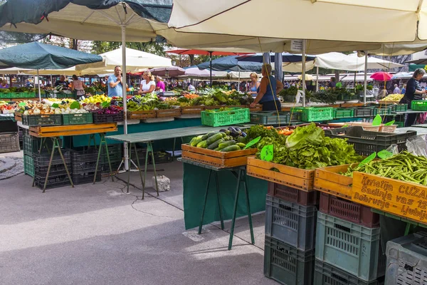 Ljubljana Slovenien Augusti 2019 Traditionell Söndags Gårds Marknad Den Historiska — Stockfoto