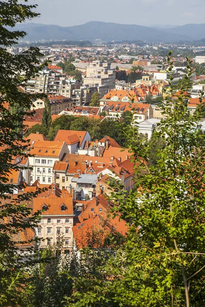 Lublaň Slovinsko Srpna 2019 Malebný Městský Výhled Místa Recenze Ljubljanski — Stock fotografie