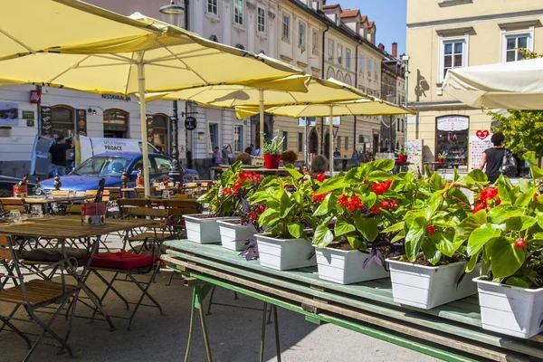 Любляна Словения Августа 2019 Уютное Уличное Кафе Исторической Части Города — стоковое фото
