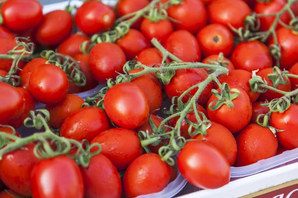 Fresh Ripe Tomatoes Market Counter — Stock Photo, Image