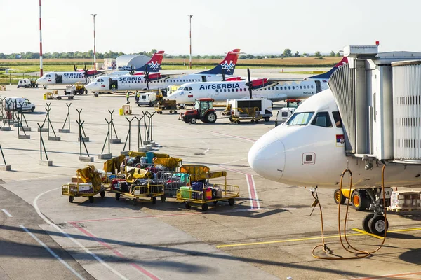 Belgrade Serbia August 2019 Ground Handling Aircraft Belgrade International Airport — Stock Photo, Image