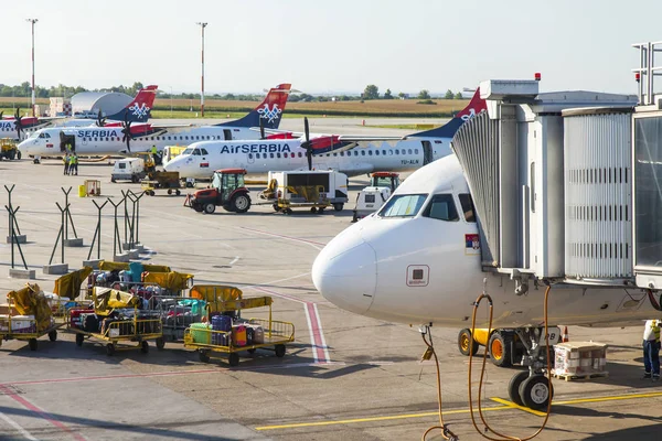 Belgrade Serbia Agosto 2019 Asistencia Tierra Aeronave Aeropuerto Internacional Belgrado —  Fotos de Stock