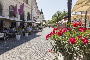 Ljubljana, Slovenya, 5 Ağustos 2019. Pitoresk şehir manzarası. Şehrin tarihi bölümünde güzel bir sokakta rahat bir sokak kafe.
