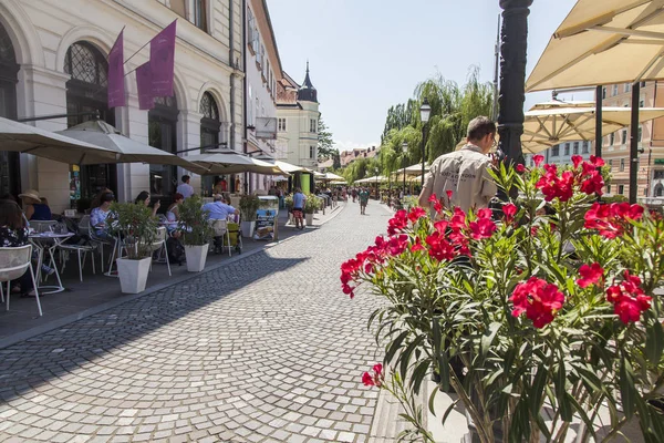 Liubliana Eslovênia Agosto 2019 Vista Pitoresca Cidade Acolhedor Café Rua — Fotografia de Stock