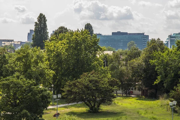 Belgrad Serbia Sierpnia 2019 Widok Miasto Malowniczy Park Nad Brzegiem — Zdjęcie stockowe