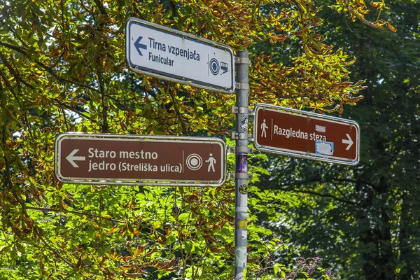 Liubliana Eslovenia Agosto 2019 Pintoresco Parque Montaña Cerca Del Antiguo — Foto de Stock