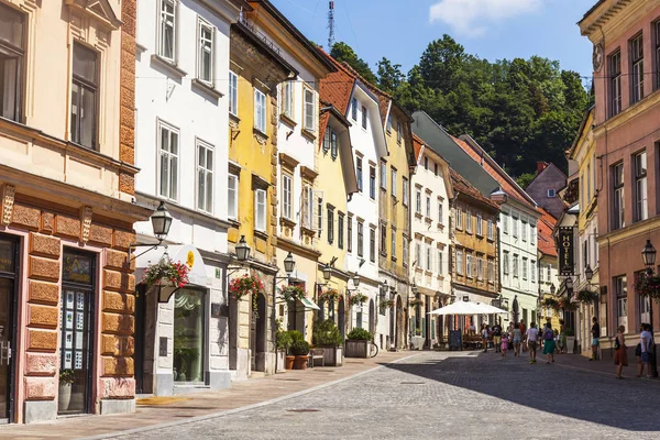 Ljubljana Slovenia August 2019 Vedere Pitorească Oraș Stradă Frumoasă Partea — Fotografie, imagine de stoc