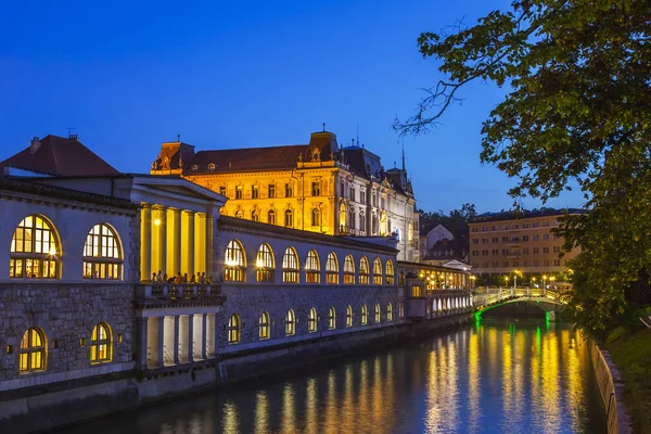 Lublaň Slovinsko Srpna 2019 Malebný Městský Večer Světla Řeky Ljubljanica — Stock fotografie