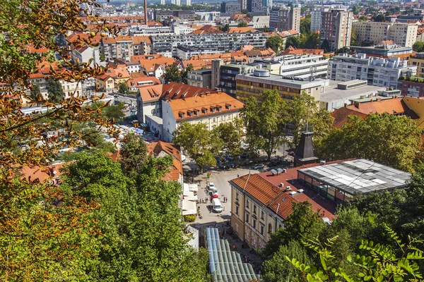 Ljubljana Szlovénia Augusztus 2019 Festői Város Kilátás Felülvizsgálati Oldalon Ljubljanski — Stock Fotó