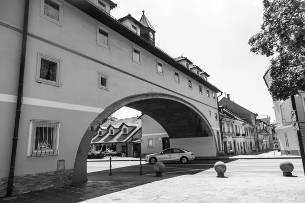 Ljubljana Slovénie Août 2019 Pittoresque Vue Sur Ville Belle Rue — Photo