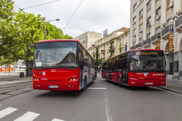 Bělehrad Srbsko Srpna2019 Výhled Město Dvě Základny Jdou Dolů Ulicí — Stock fotografie