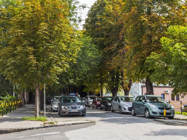 Belgrade Sérvia Agosto 2019 Árvores Pitorescas Rua Parte Histórica Cidade — Fotografia de Stock