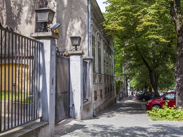 Belgrad Sırbistan Ağustos 2019 Şehrin Tarihi Bölümünde Sokakta Pitoresk Ağaçlar — Stok fotoğraf